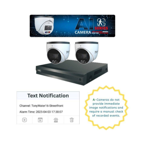 TVT 2-Camera 6MP Budget Dual Illumination-Standard Model