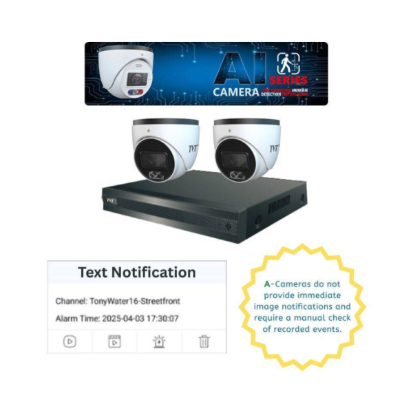 TVT 2-Camera 6MP Budget Dual Illumination-Standard Model